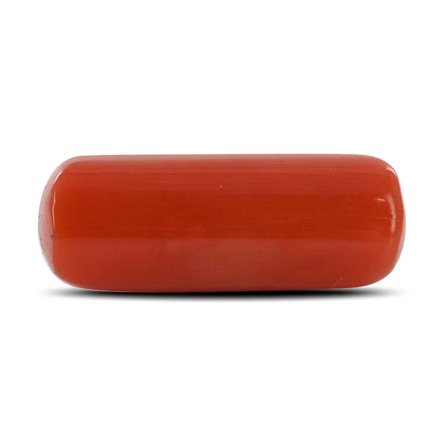 Red Coral (Moonga) - 5.76 Carat