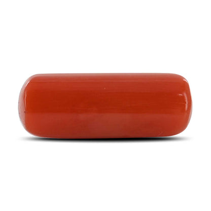 Red Coral (Moonga) - 5.76 Carat