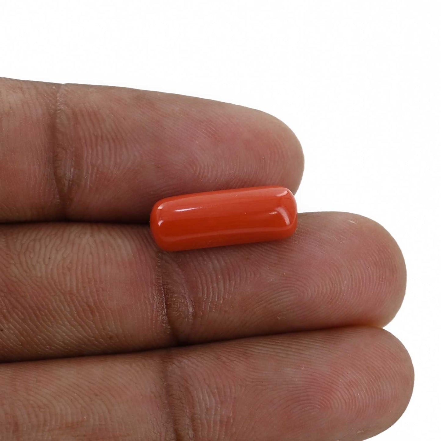 Red Coral (Moonga) - 5.76 Carat