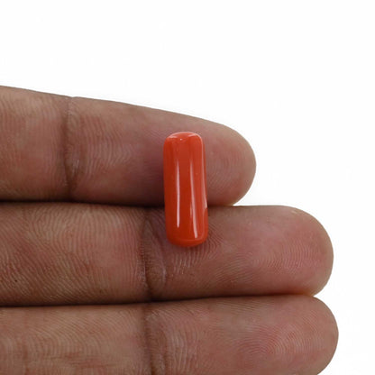 Red Coral (Moonga) - 5.76 Carat