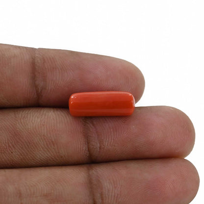 Red Coral (Moonga) - 5.76 Carat