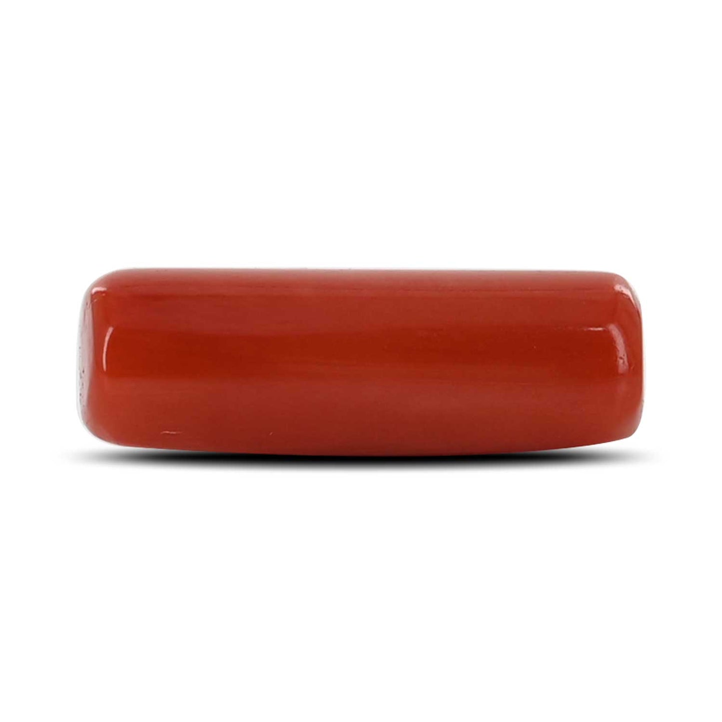 Red Coral (Moonga) - 5.96 Carat