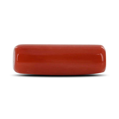 Red Coral (Moonga) - 5.96 Carat