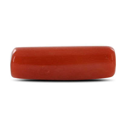 Red Coral (Moonga) - 5.96 Carat