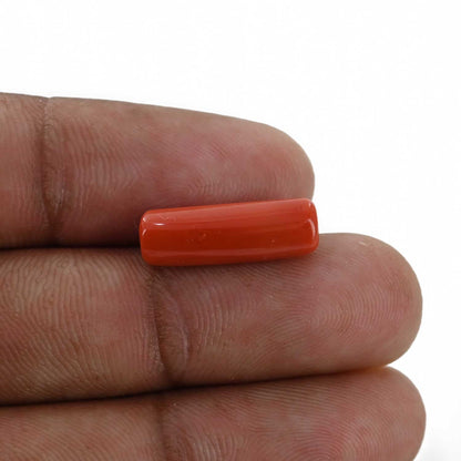 Red Coral (Moonga) - 5.96 Carat