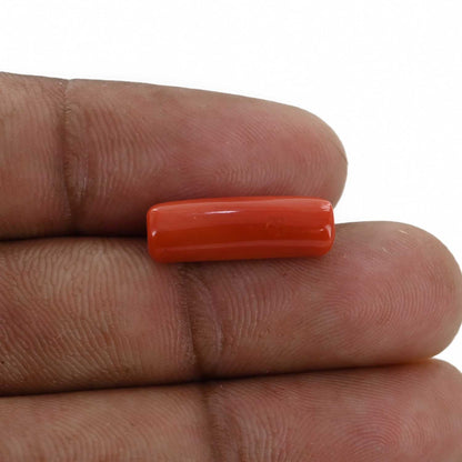 Red Coral (Moonga) - 5.96 Carat