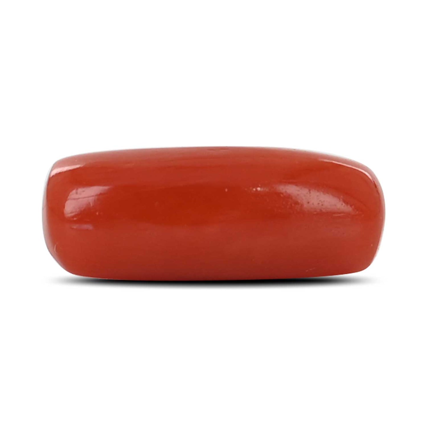 Red Coral (Moonga) - 4.7 Carat
