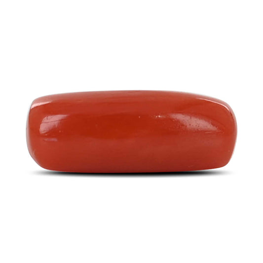 Red Coral (Moonga) - 4.7 Carat