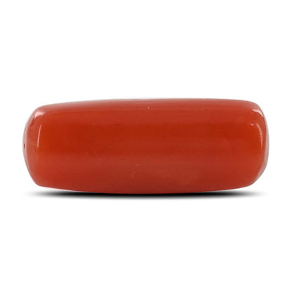 Red Coral (Moonga) - 4.7 Carat