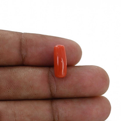 Red Coral (Moonga) - 4.7 Carat