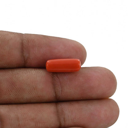 Red Coral (Moonga) - 4.7 Carat