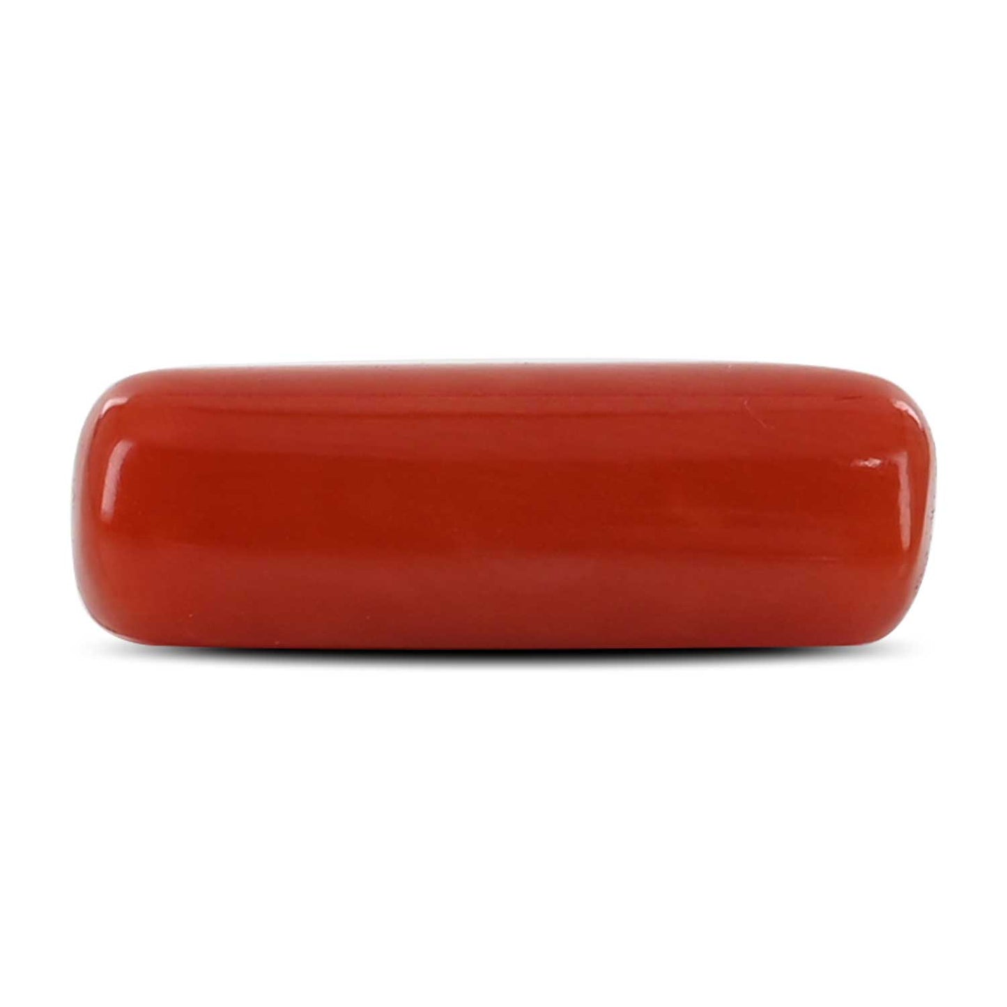 Red Coral (Moonga) - 4.93 Carat