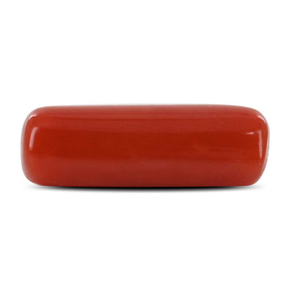 Red Coral (Moonga) - 4.93 Carat