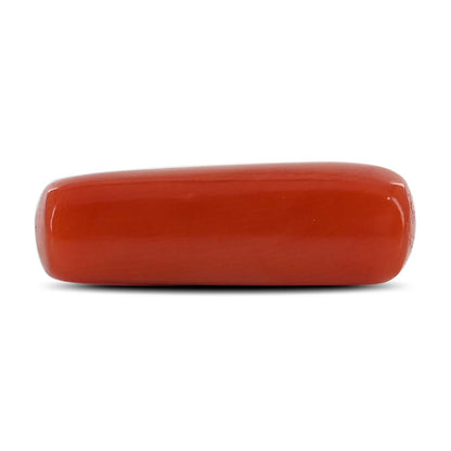 Red Coral (Moonga) - 4.82 Carat