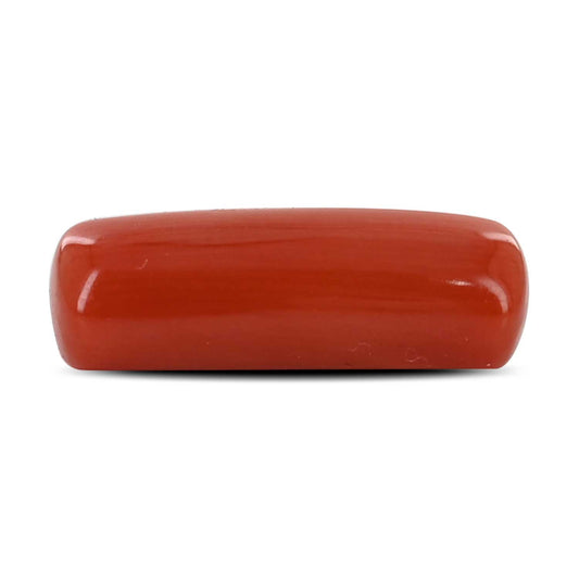 Red Coral (Moonga) - 5.86 Carat