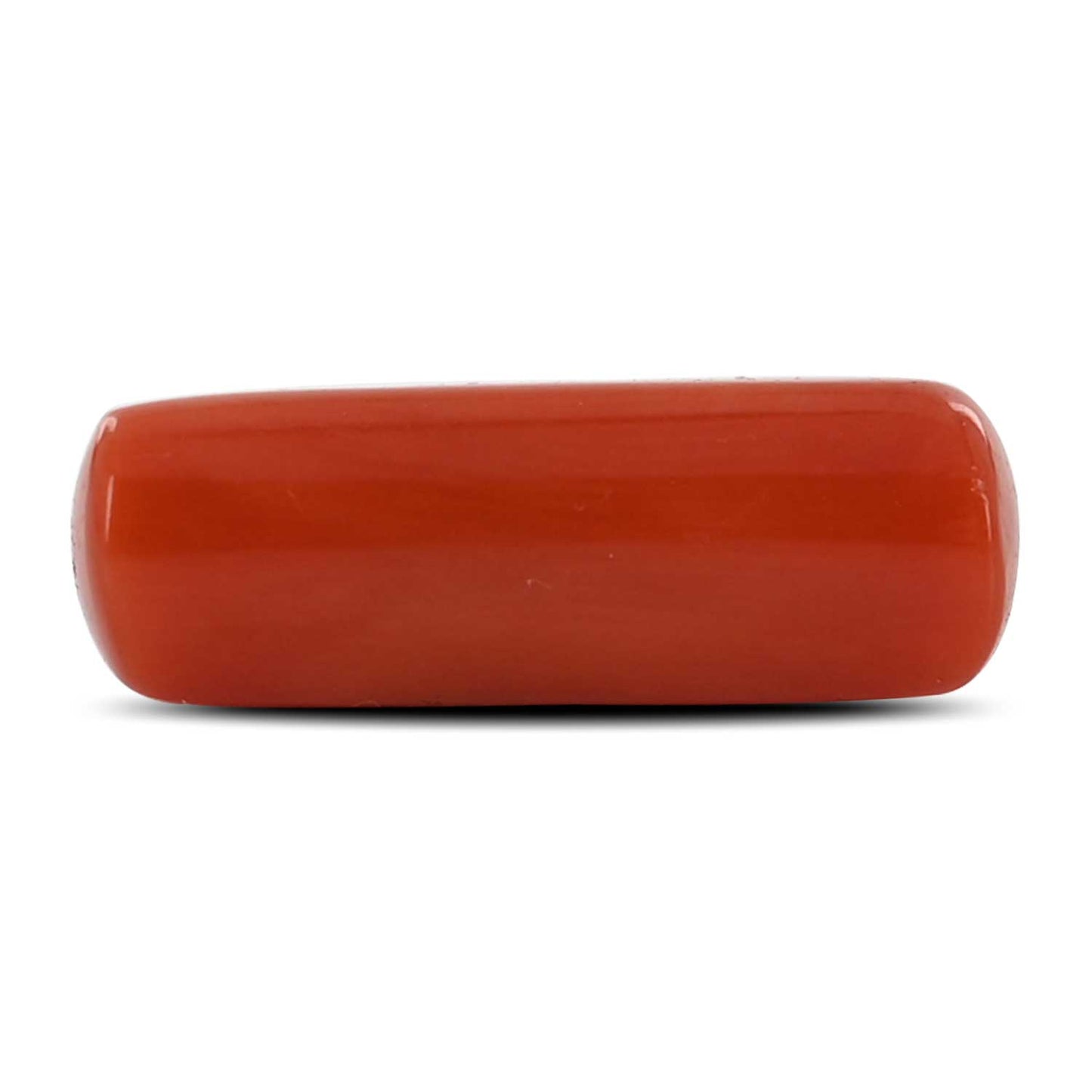 Red Coral (Moonga) - 5.86 Carat