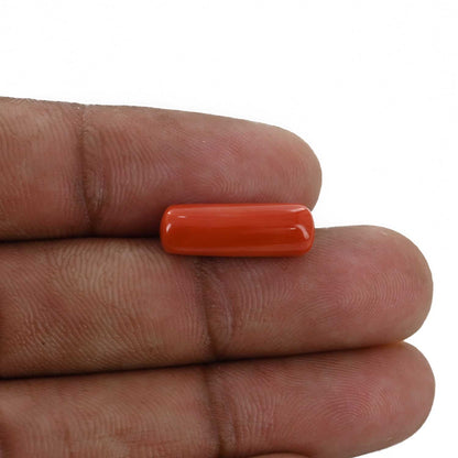 Red Coral (Moonga) - 5.86 Carat
