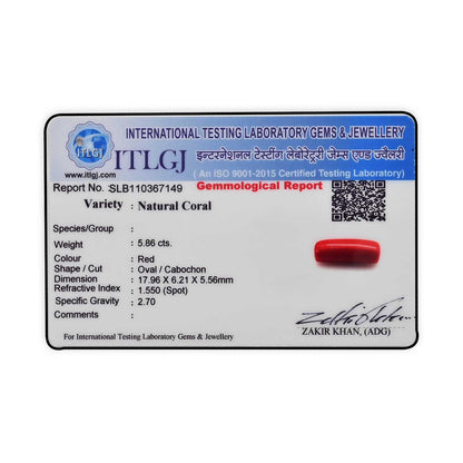 Red Coral (Moonga) - 5.86 Carat