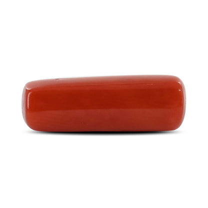 Red Coral (Moonga) - 4.9 Carat
