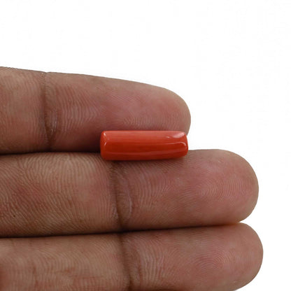 Red Coral (Moonga) - 4.9 Carat
