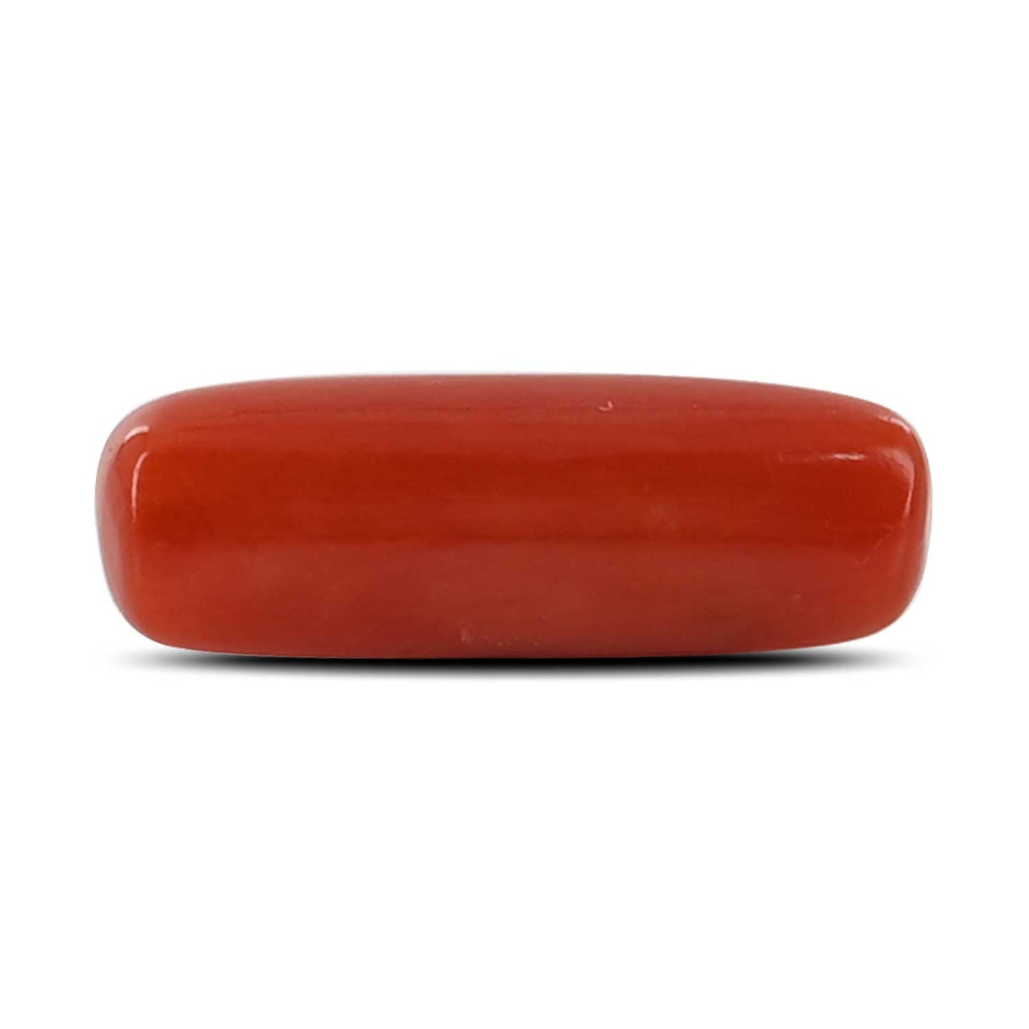Red Coral (Moonga) - 4.6 Carat
