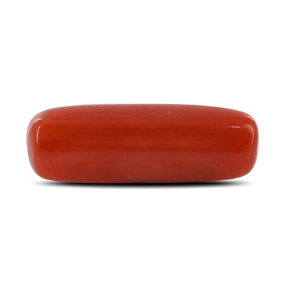 Red Coral (Moonga) - 4.6 Carat