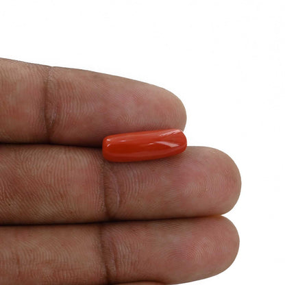 Red Coral (Moonga) - 4.6 Carat