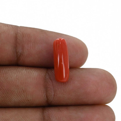 Red Coral (Moonga) - 4.6 Carat