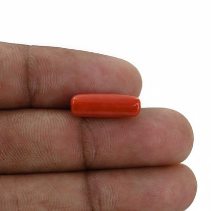 Red Coral (Moonga) - 4.6 Carat