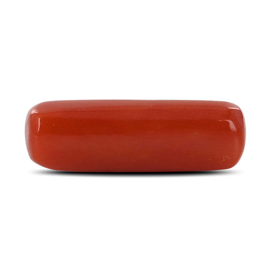 Red Coral (Moonga) - 5.82 Carat