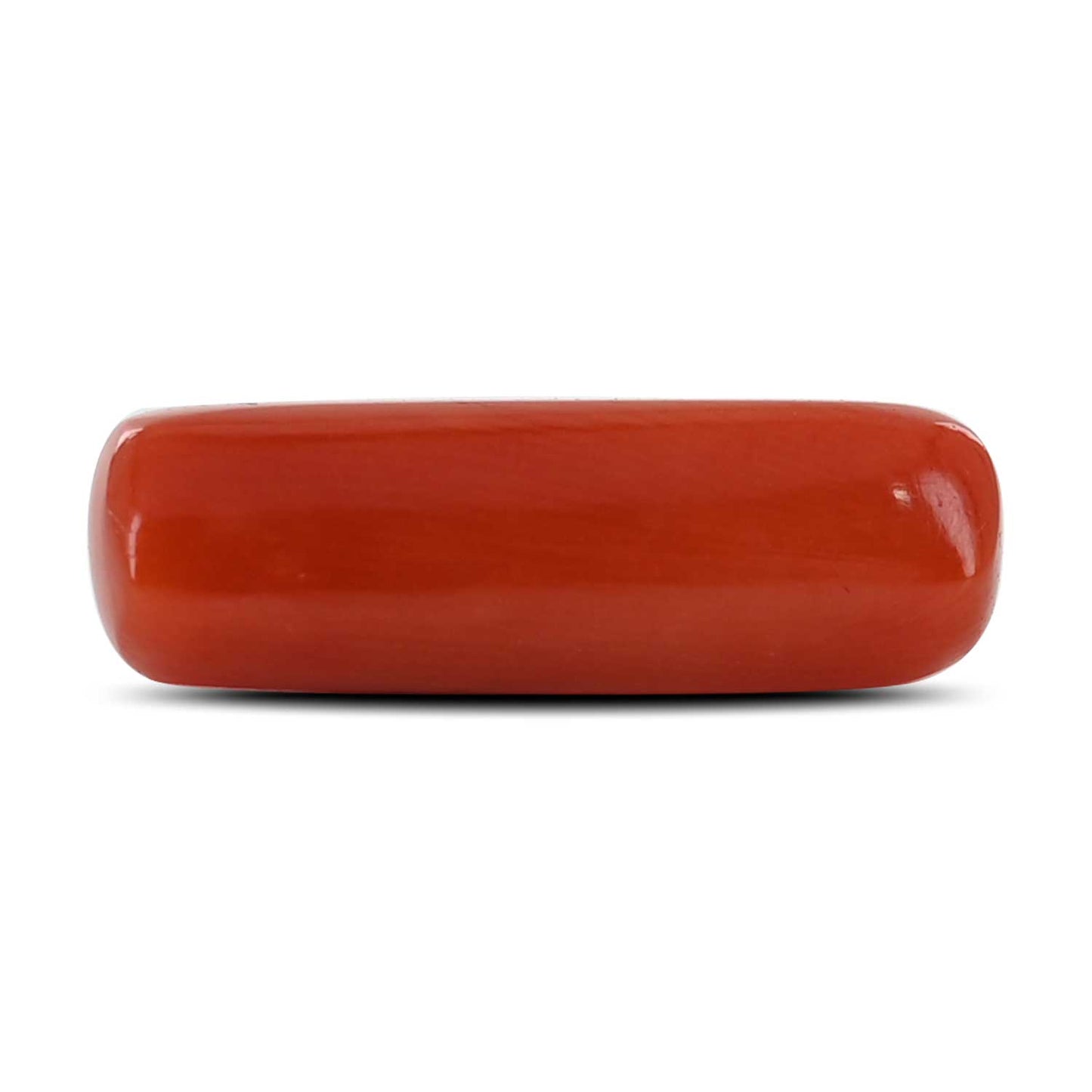 Red Coral (Moonga) - 5.82 Carat