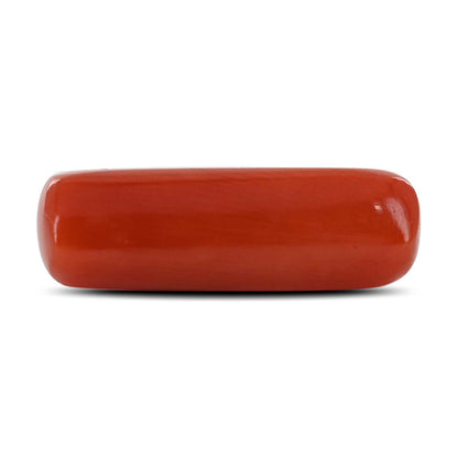 Red Coral (Moonga) - 5.82 Carat