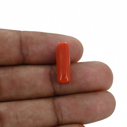 Red Coral (Moonga) - 5.82 Carat