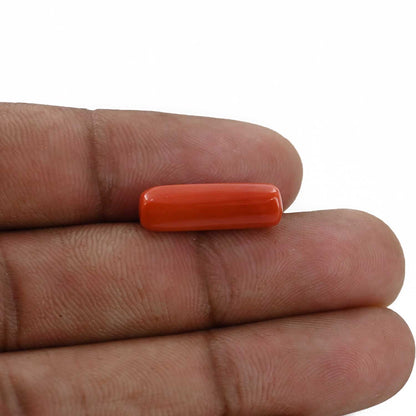 Red Coral (Moonga) - 5.82 Carat