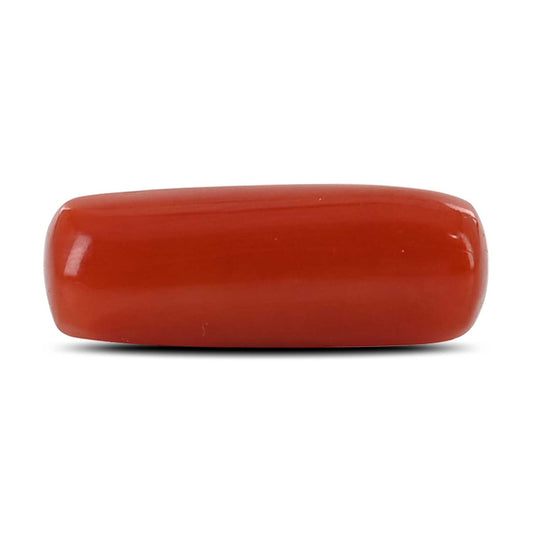 Red Coral (Moonga) - 5.64 Carat