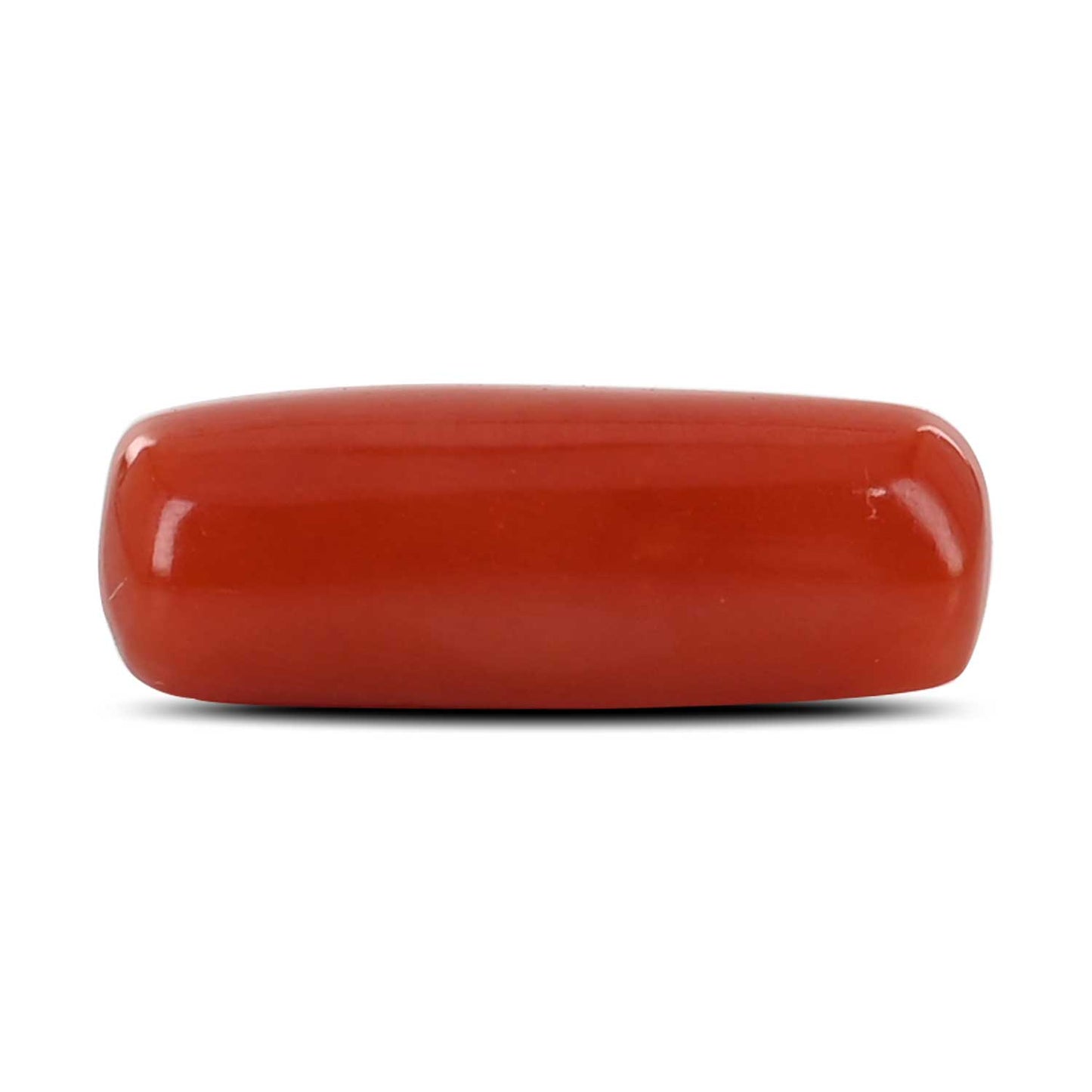 Red Coral (Moonga) - 5.64 Carat