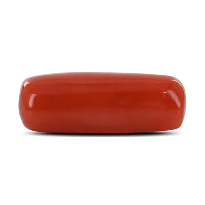 Red Coral (Moonga) - 5.64 Carat