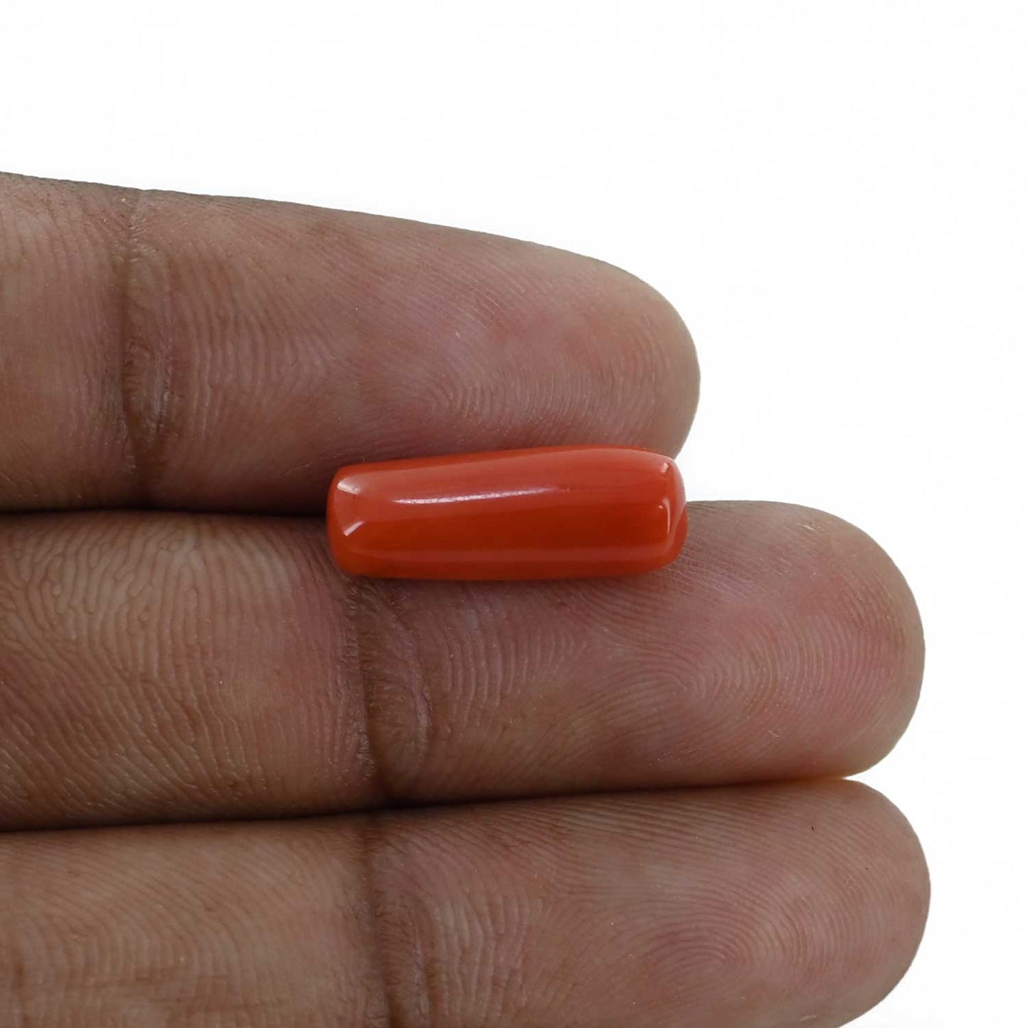 Red Coral (Moonga) - 5.64 Carat