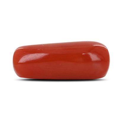 Red Coral (Moonga) - 5.28 Carat