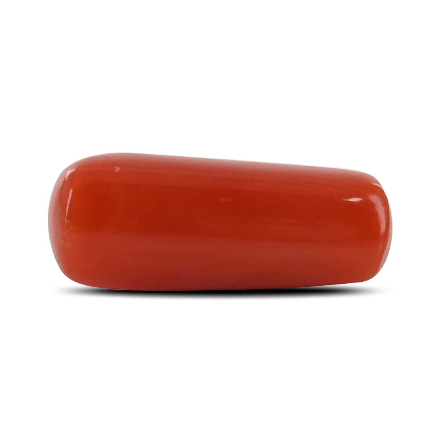 Red Coral (Moonga) - 5.28 Carat