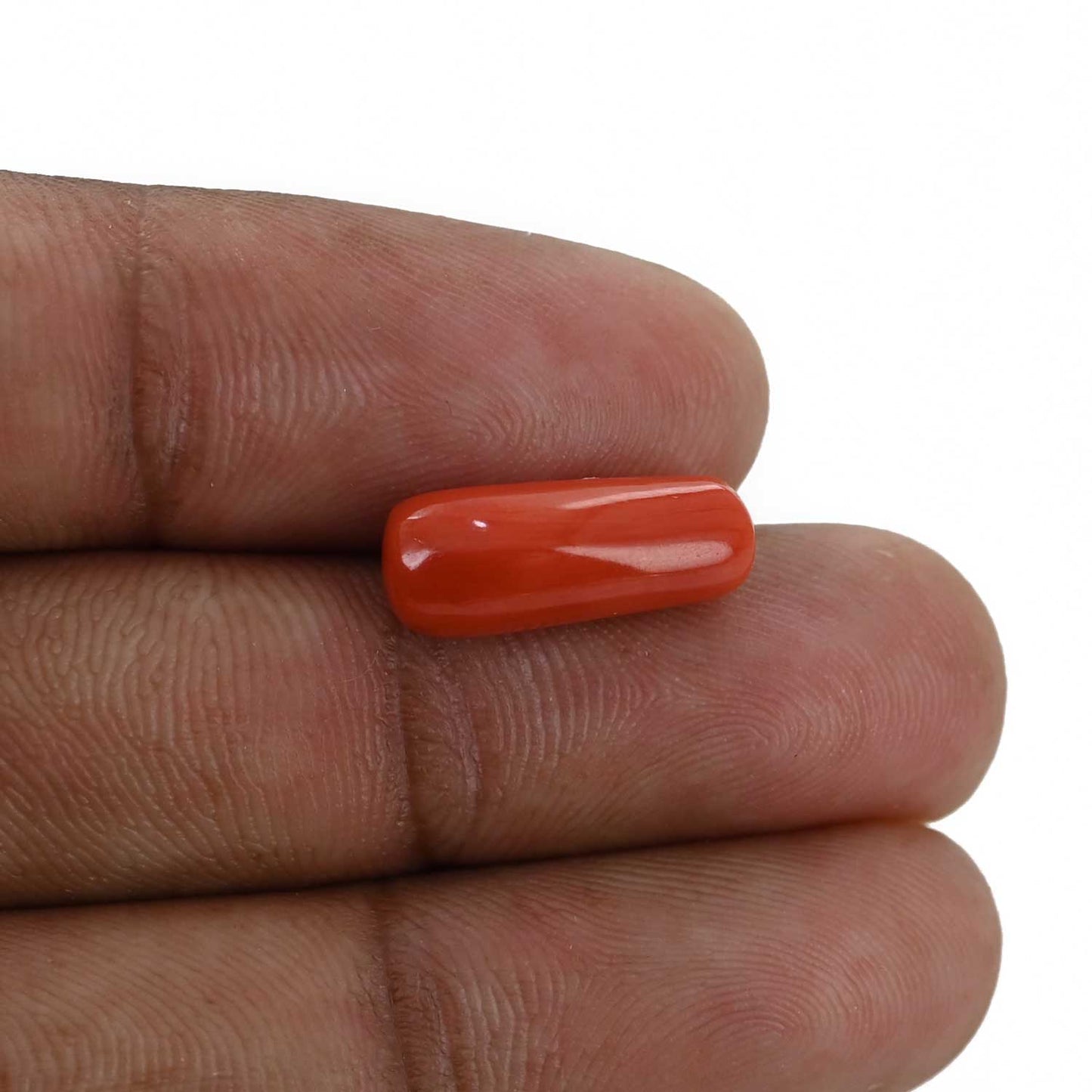 Red Coral (Moonga) - 5.28 Carat
