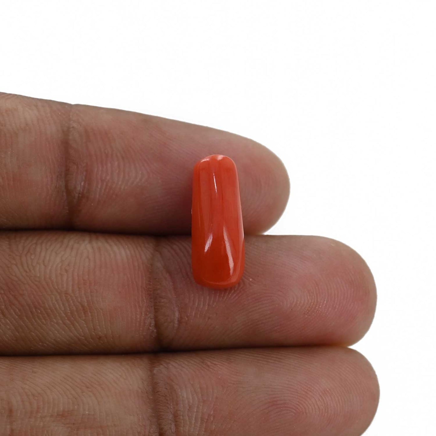 Red Coral (Moonga) - 5.28 Carat