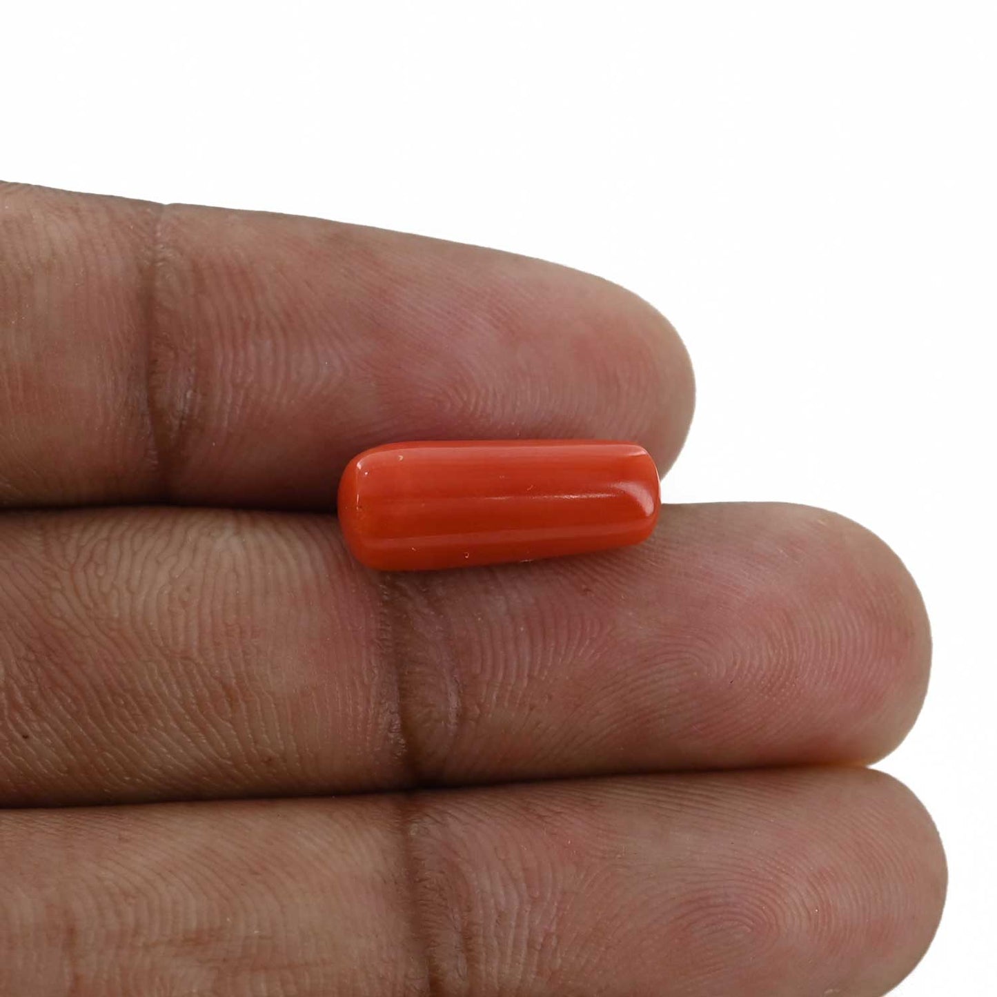 Red Coral (Moonga) - 5.28 Carat