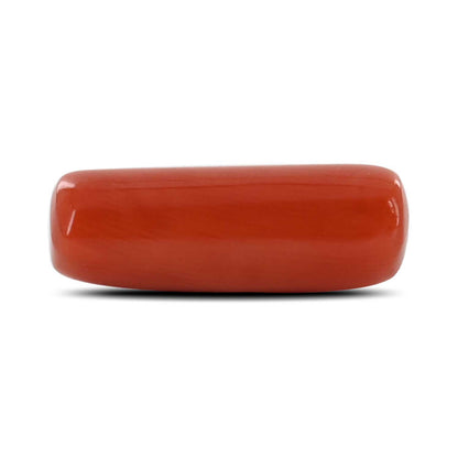 Red Coral (Moonga) - 5.24 Carat