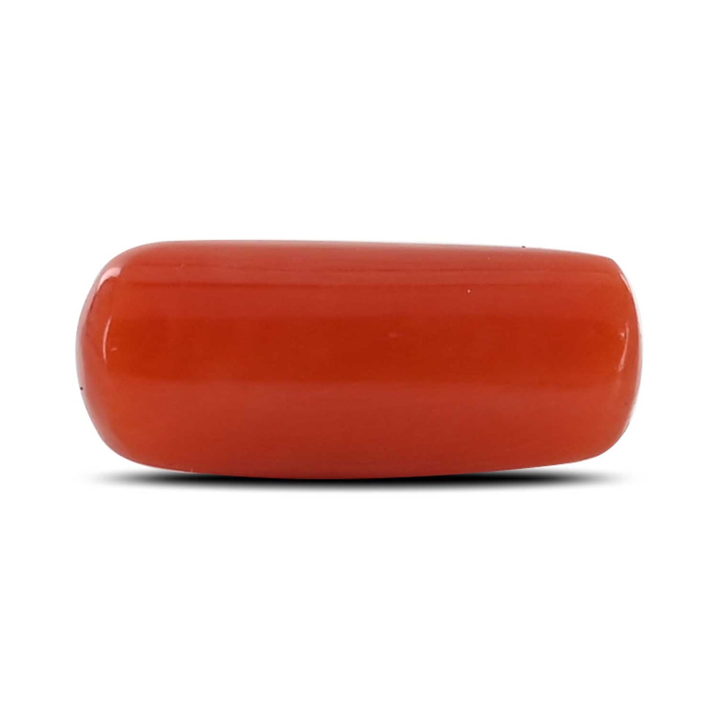 Red Coral (Moonga) - 4.69 Carat