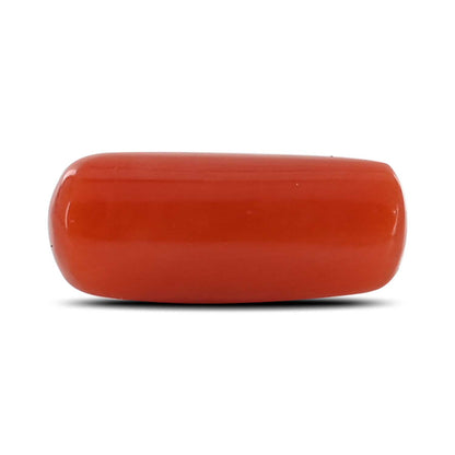 Red Coral (Moonga) - 4.69 Carat