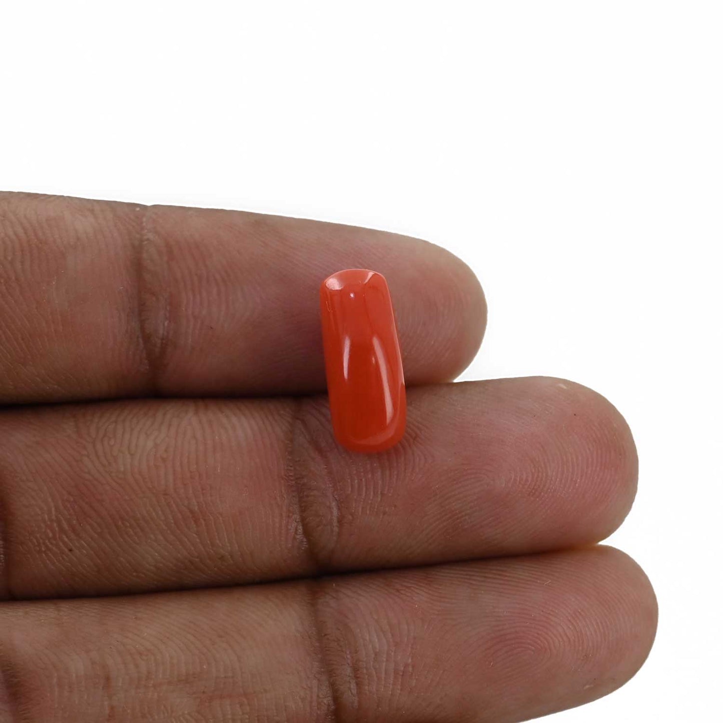 Red Coral (Moonga) - 4.69 Carat