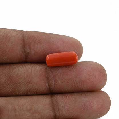 Red Coral (Moonga) - 4.69 Carat