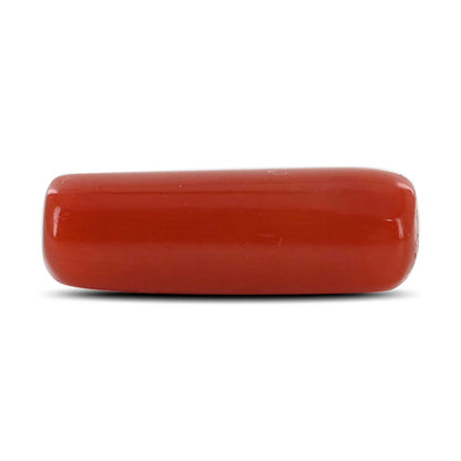 Red Coral (Moonga) - 5.25 Carat