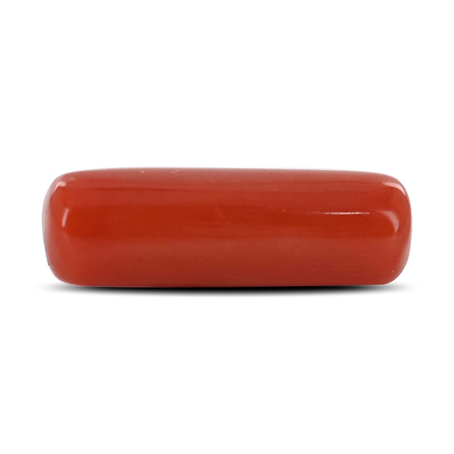 Red Coral (Moonga) - 5.25 Carat